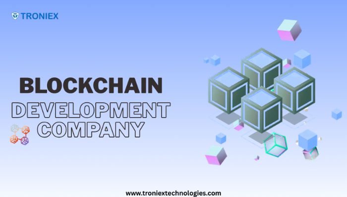 Launch Faster with Expert Blockchain Developers Troniex Technologies