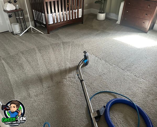Local Carpet Cleaning in Elgin IL