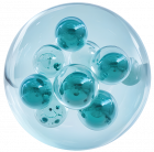 Looking for PEMF Therapy for Nerve Regeneration?