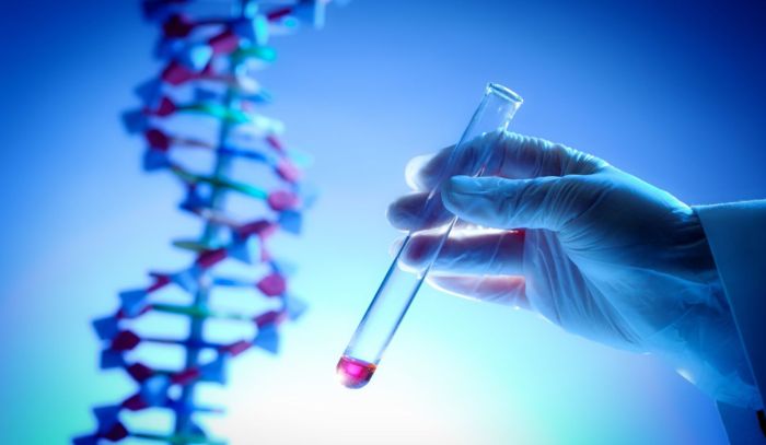 Reliable Expert PGT Testing Services for IVF in Bareilly