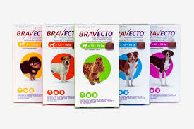 Spring Sale Alert for Dog Parents