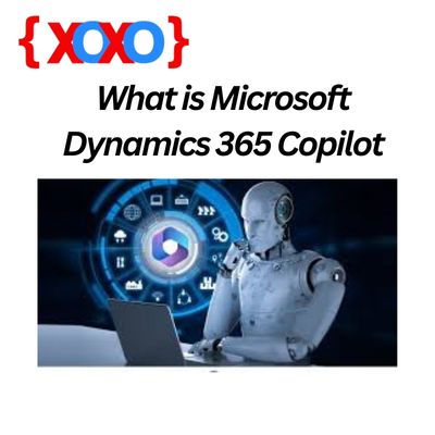 What is Microsoft Dynamics 365 Copilot?
