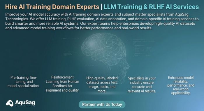 Hire AI Training Domain Experts LLM Training RLHF AI Services