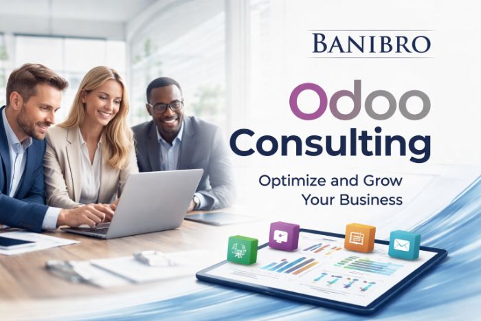 Odoo ERP Consulting