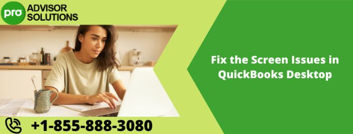 Screen Issues in QuickBooks Causes Symptoms and Easy Fixes