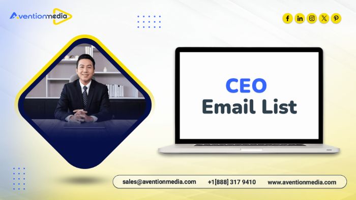 Buy a targeted CEO Email List outreach list for your campaigns