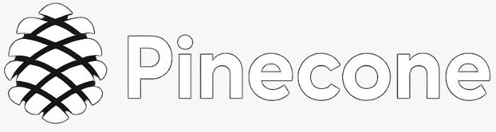 Pinecone Matches Inibox
