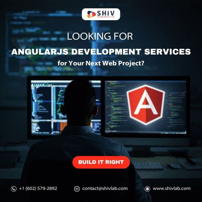 Trusted Angular Development Company Shiv Technolabs