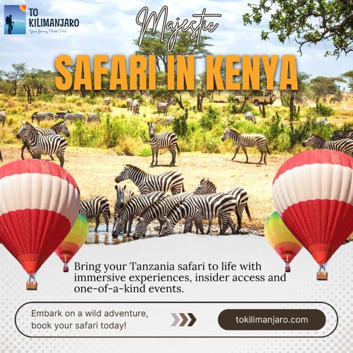 Budget Camping Safari in Tanzania with To Kilimanjaro Affordable Adventure Awaits