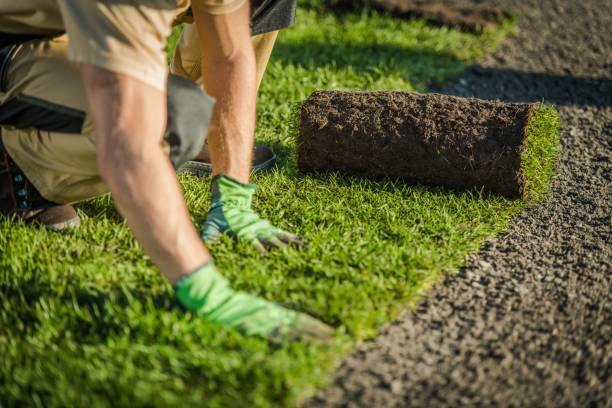 Ehsas Technical and Cleaning Services LLC Ehsas Technical and Cleaning Services LLC