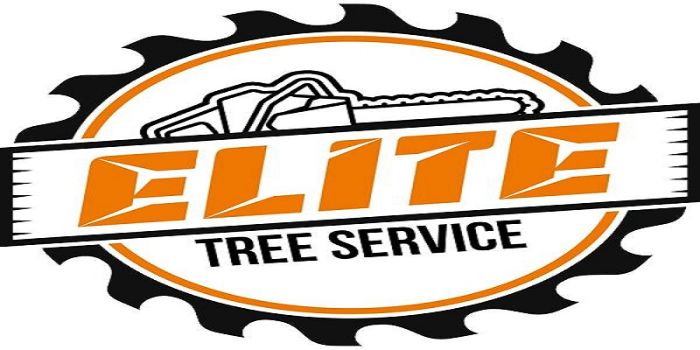 Elite Tree Service