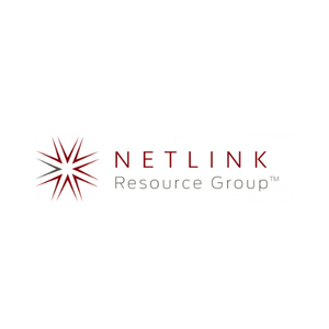 Netlink Resource Group Scalable Custom CRM Management Platforms Integration Services