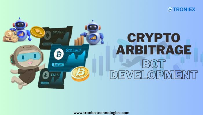 Professional Crypto Arbitrage Bot Developers for Hire