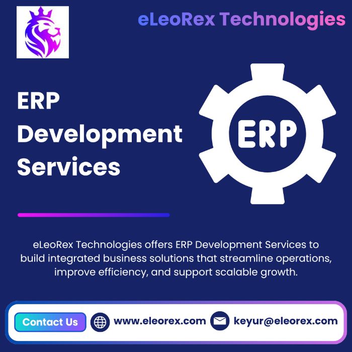 Best ERP Development Services eLeoRex Technologies