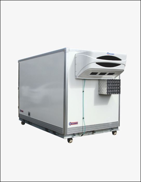 Commercial Portable Freezer Storage Solutions