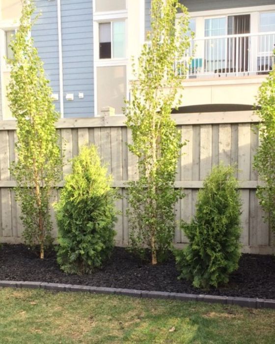 Custom Built Deck And Fence