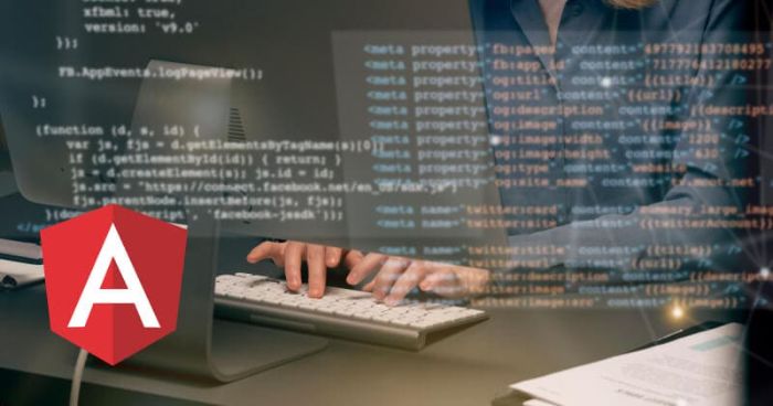 Hire Angular App Developers in India