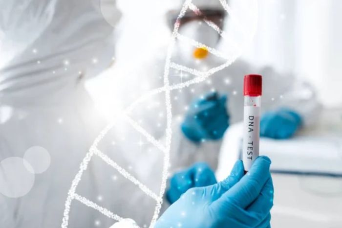How to Get a Paternity Testing in VA?