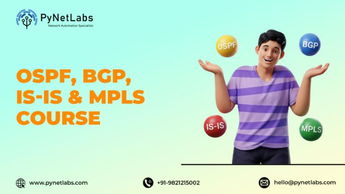 Master Routing Protocols OSPF, BGP, ISIS MPLS Course