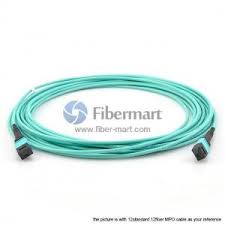 MTP 16 Cable