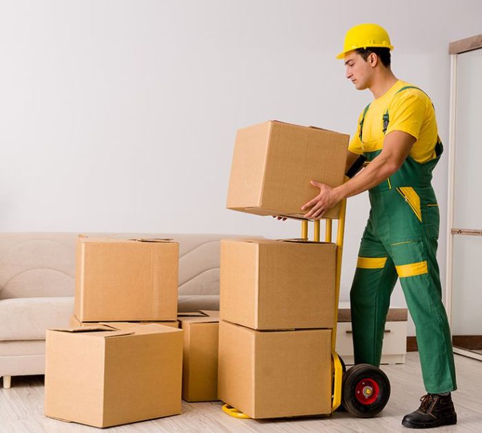 Packers and Movers in Donaje