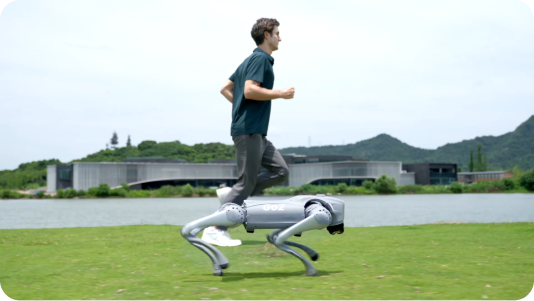 Robot Dog for School: Offering an Interactive Learning Experience