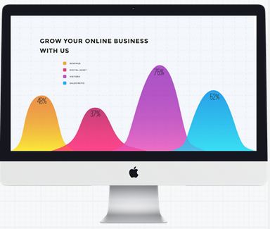 SEO Expert