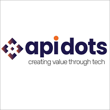 Affordable SaaS Development for Startups API DOTS