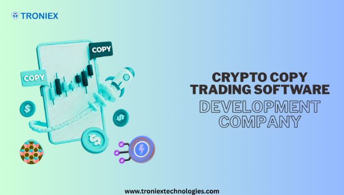 Build Profitable Platforms with Copy Trading Software Experts