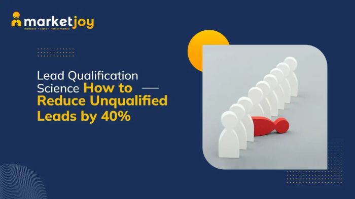 Maximize ROI with Effective Lead Qualification Techniques