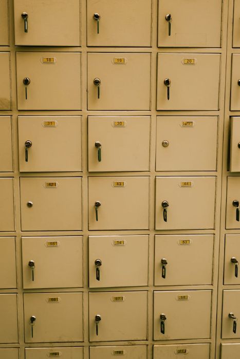 Secure Loop Lock Tags for Reliable Identification