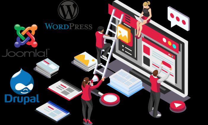 Web Development
