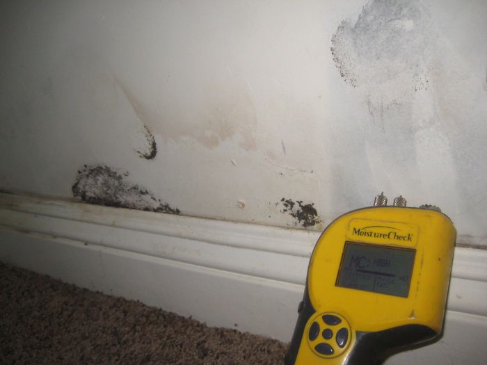 Asbestos Testing Torrance: Reliable Inspections by Funguy Inspections