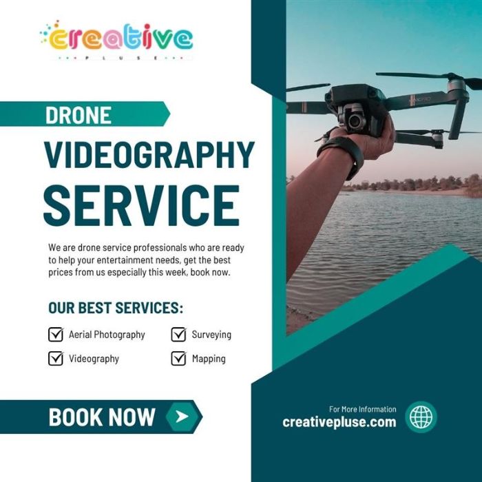 Drone Videography Services Creative Pluse
