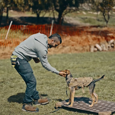 Kelev K9