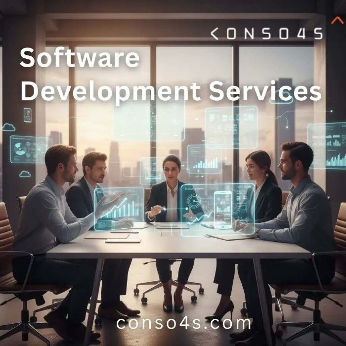 software development services in uk