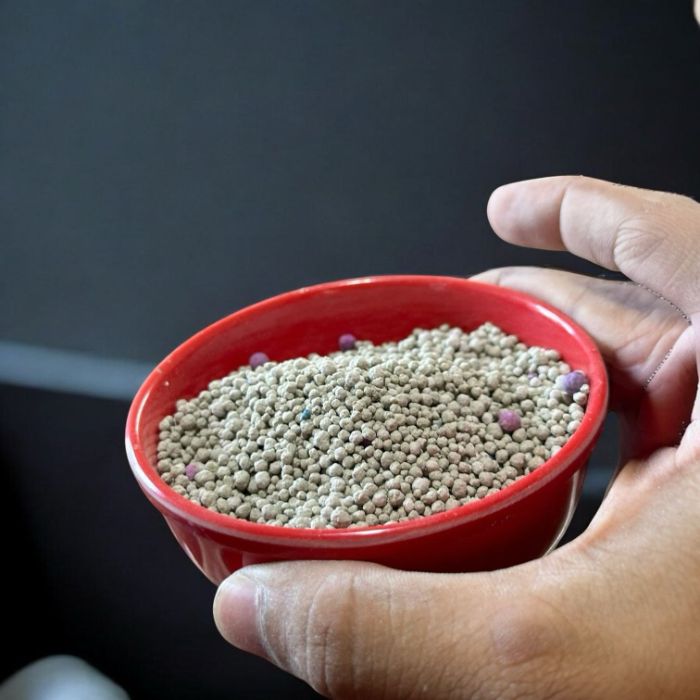 Bulk Bentonite Cat Litter for Pet Brands