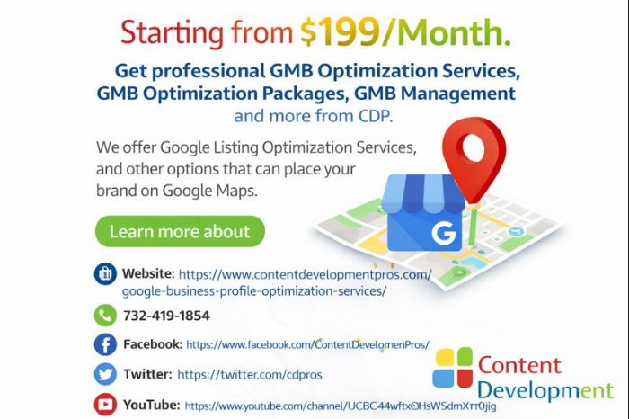 Google Business Profile Services Content Development Pros