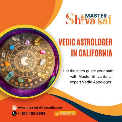 Vedic Astrologer Specialists in California