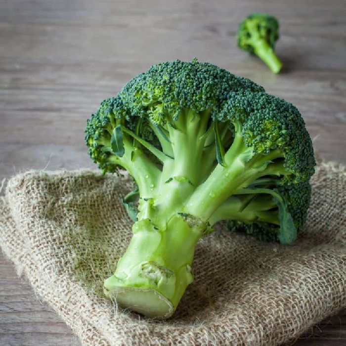 Vegetable Garden Seeds Broccoli, Beet, Corn Cabbage