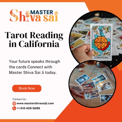 Best Tarot Reading Specialists in California