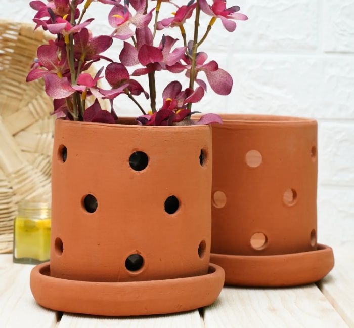 Clear Orchid Pots: The Perfect Choice for Healthy Orchid Roots