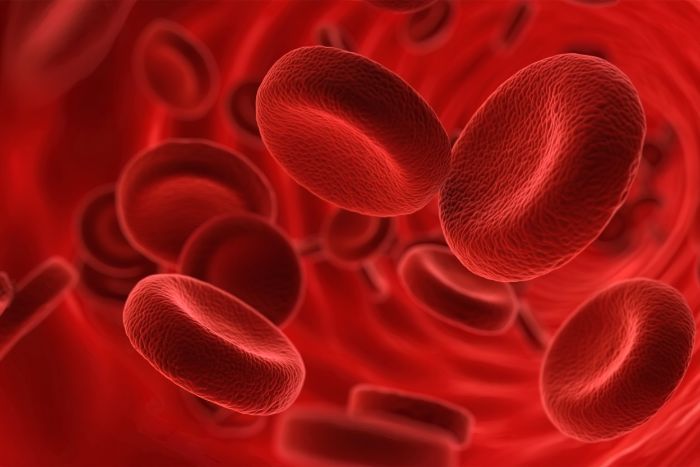 Compassionate Care Solutions for Sickle Cell Anemia