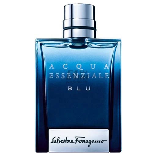 Discover Popular Mens Cologne Premium Fragrances That Make a Lasting Impression Shop Top Designer Niche Scents Now