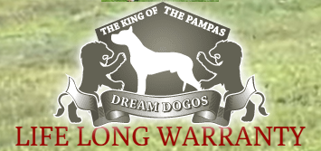 Dream Dogos