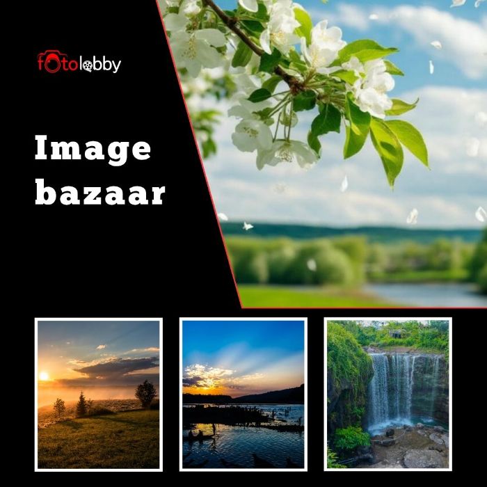 Image bazaar