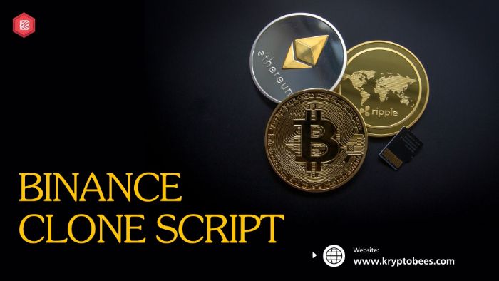 Launch Faster, Trade Smarter with a Binance Clone Script