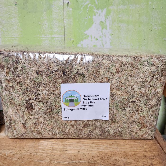 Orchid Supplies Florida: Everything You Need for Orchid Care
