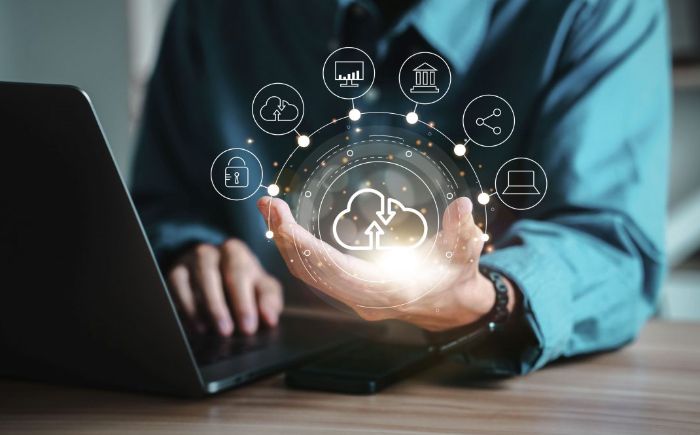 Software Risk Governance Solutions Interlynk