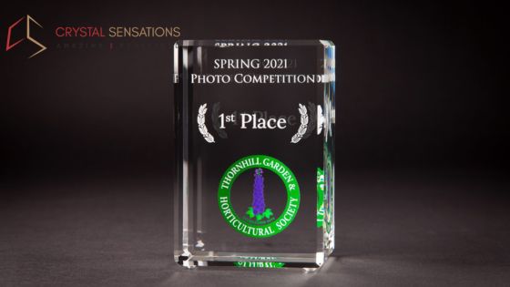 Stylish Engraved Crystal Awards for Corporate Events